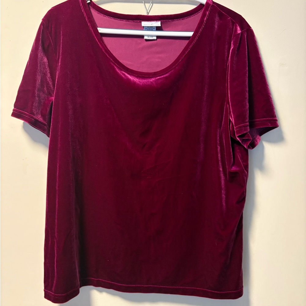 Jaclyn Smith Short Sleeve Velvet Top - Wine